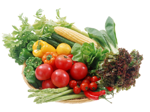 Valley Rural Supplies Summer Vegetables